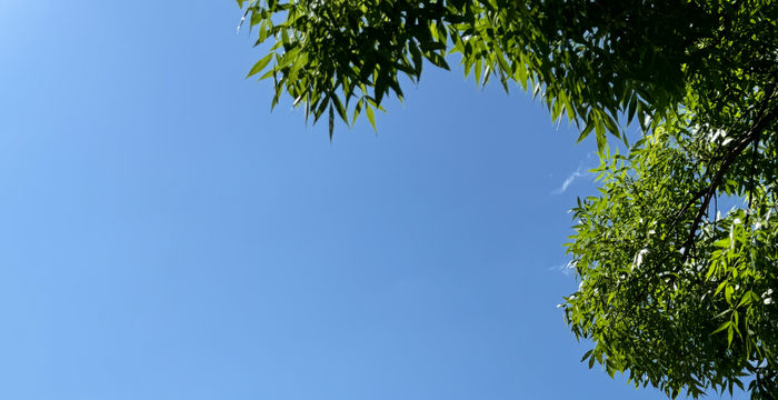 240 Mickleham Rd, Gladstone Park - Image 5