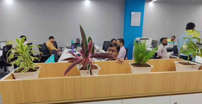 242 Janpath Rd, Bhubaneswar - Image 4