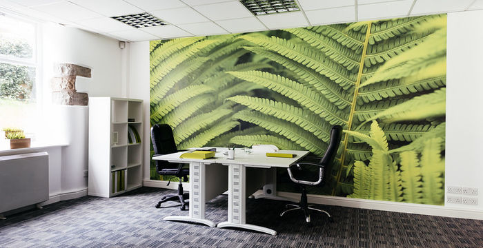 Cow Lane, Burnley - Image 3