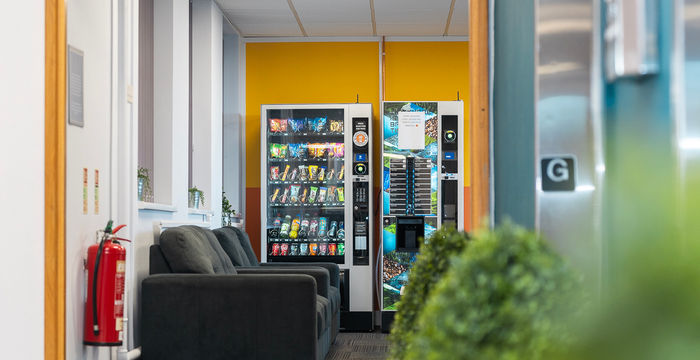 Castlemill, Burnt Tree - Image 5