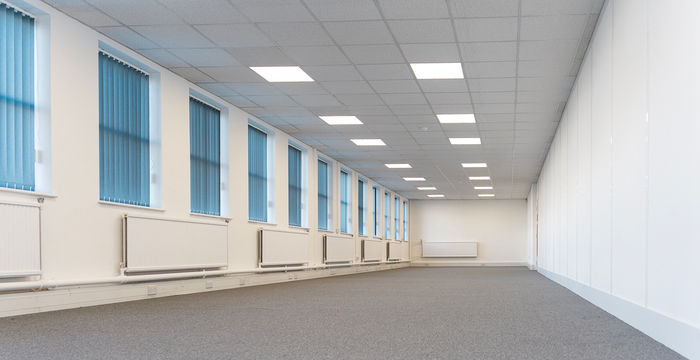 Castlemill, Burnt Tree - Image 2