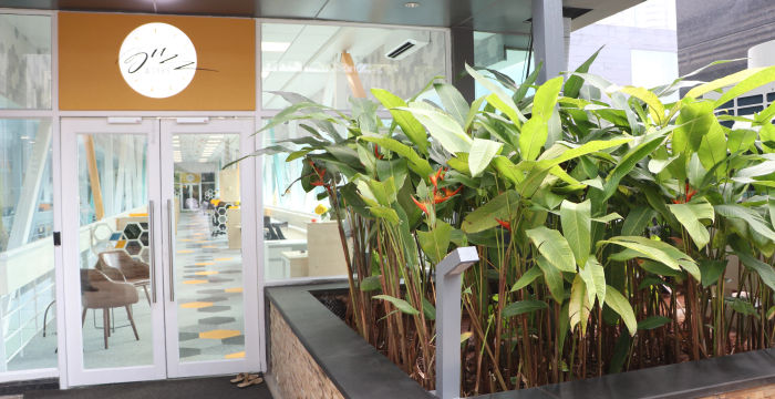 26/1 A Block Dr Rajkumar Rd Rajajinagar, Bengaluru - Image 5