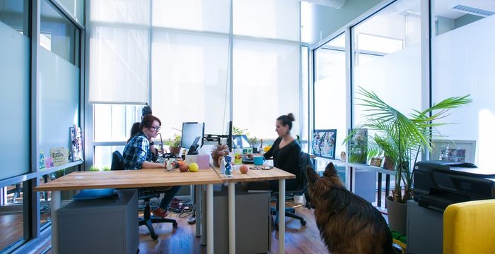 147 Prince Street, Downtown Brooklyn - Image 2