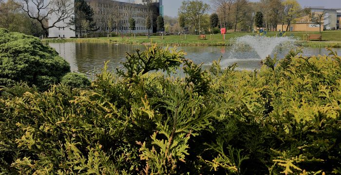 1 Warrington Road, Birchwood - Image 5