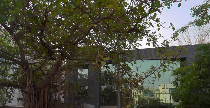 A-90 A Block Sector 2, Noida - Image 4