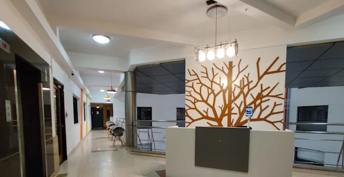 Plot No One 249 Phase Iv Udyog Vihar Sector 18, Gurugram - Image 2