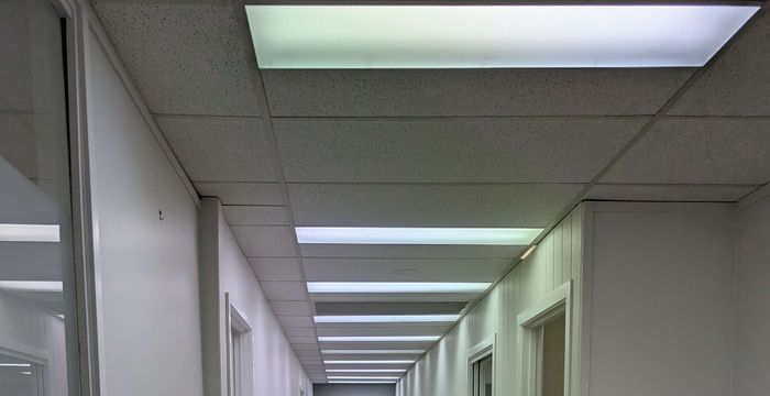 109 Upton Street, Bundall - Image 5