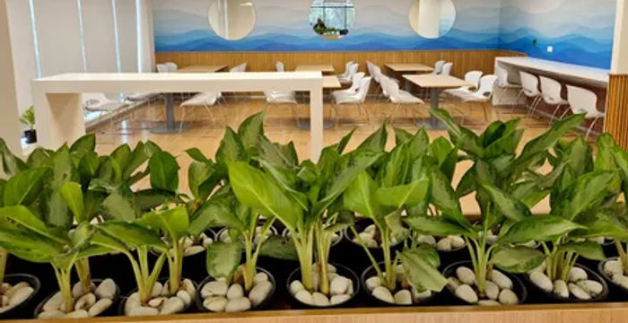 Suncity Sector 54, Gurugram - Image 3