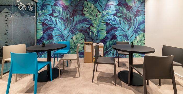 19 Žorža Klemansoa, Beograd - Image 4