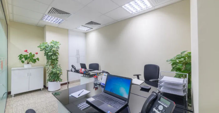 Jumeirah, Dubai - Image 4