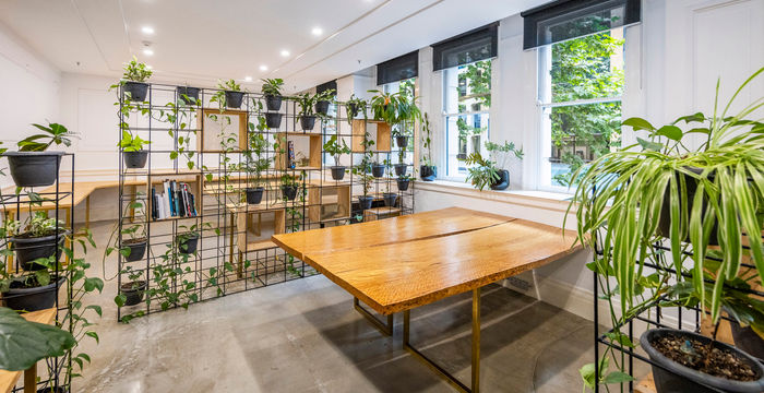 262 Pitt Street, Sydney - Image 5