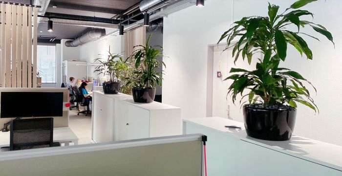 61 Seilergraben, Zürich - Image 2