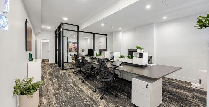 559 Crown Street, Surry Hills - Image 2