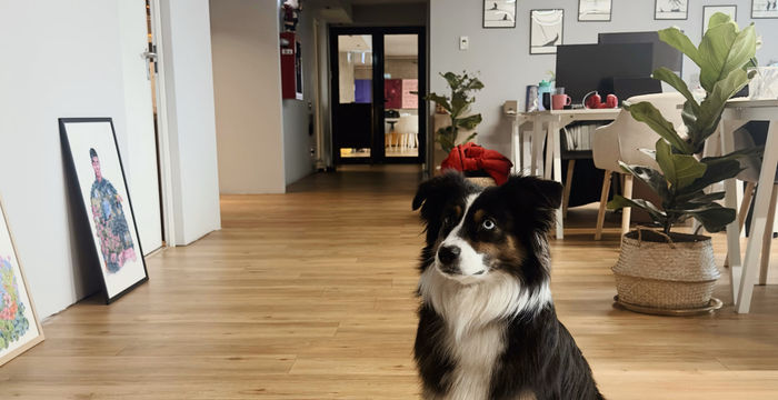 5 Str D I Mendeleev, București - Image 3