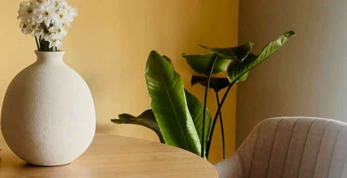 Strada Palas 7e, Iași - Image 3