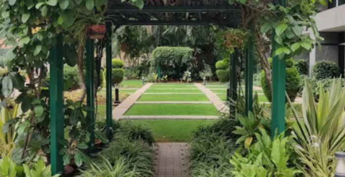 Hosur Main Road Dairy Colony Adugodi Koramangala, Bengaluru - Image 2