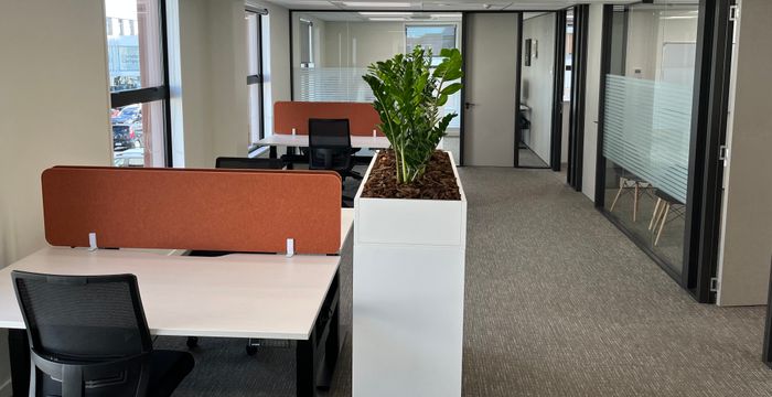 114 Peterborough Street, Christchurch - Image 3