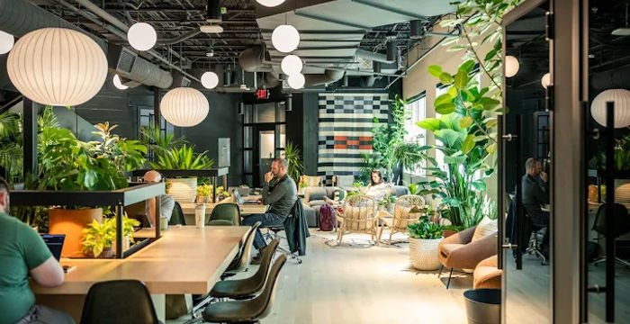 301 Remington Street, Fort Collins - Image 3