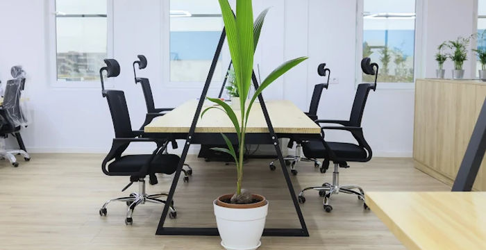 44 Carrer Estrella, Sant Quirze Del Vallès - Image 3