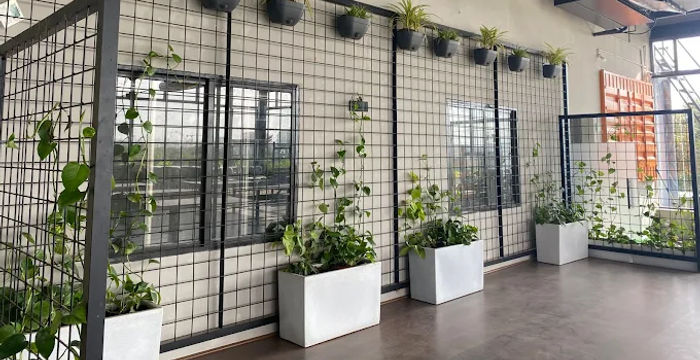 Agara Village 1st Sector Hsr Layout, Bengaluru - Image 4