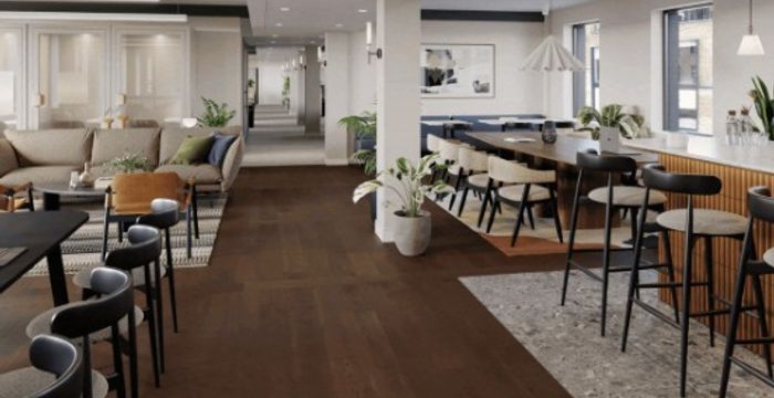 5 Eccleston Street, Belgravia - Image 3