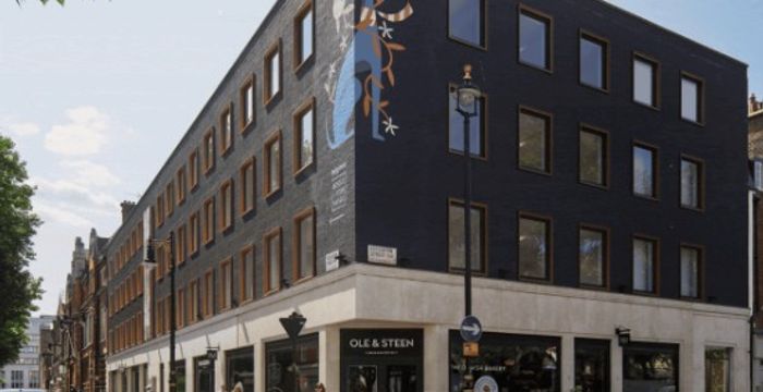 5 Eccleston Street, Belgravia - Image 4