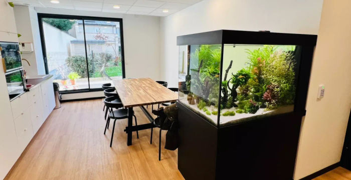 7 Rue Raoul Pugno, Montrouge - Image 4