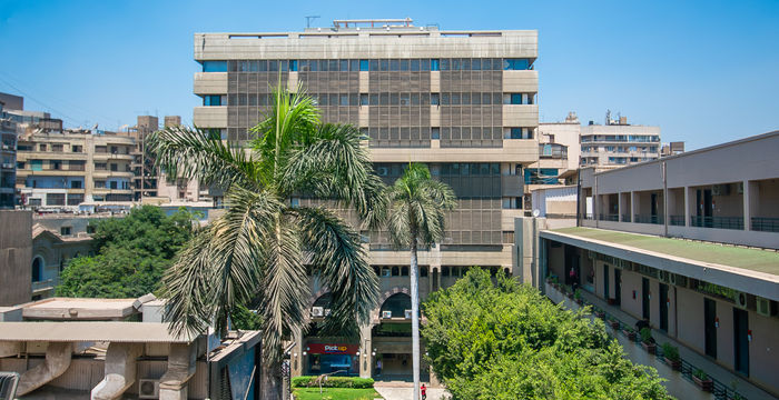 Youssef El-gendy, Cairo - Image 2