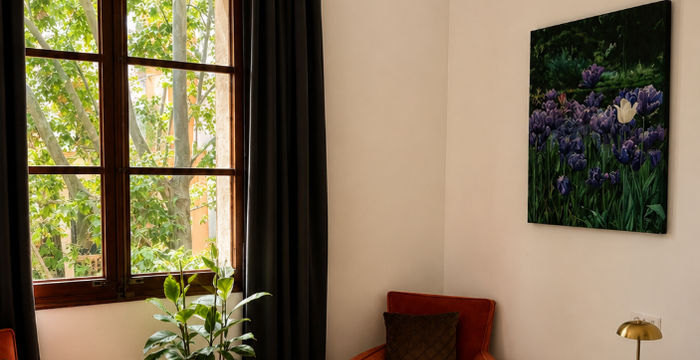 12 Calle Barón De Pinopar 12, Palma - Image 4