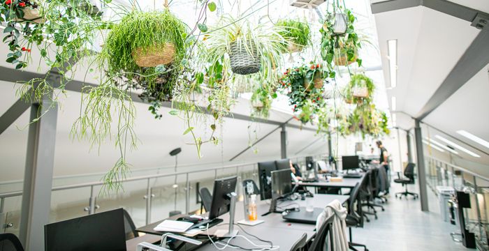 17 Heneage Street, London - Image 4