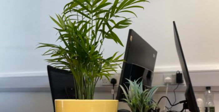 64-66 Wingate Square, London - Image 5