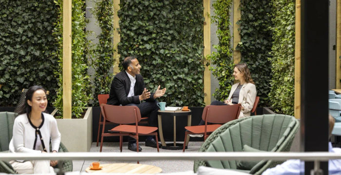 Wells & More - Image 5