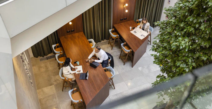 Wells & More - Image 3