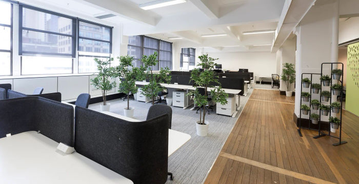 11 York Street 11 York Street, Sydney - Image 3