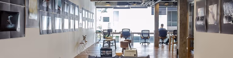 Wolf Cowork