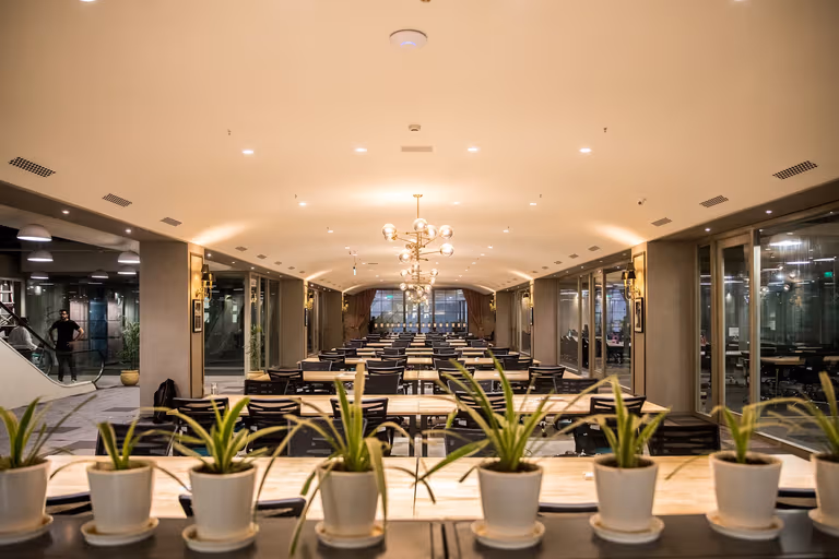 Spring House Workspaces