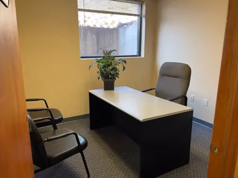 Executive Office Suites LLC
