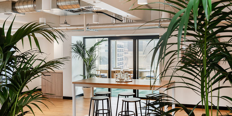 12 Person Shared Office at 66 King Street, Sydney | Office Hub