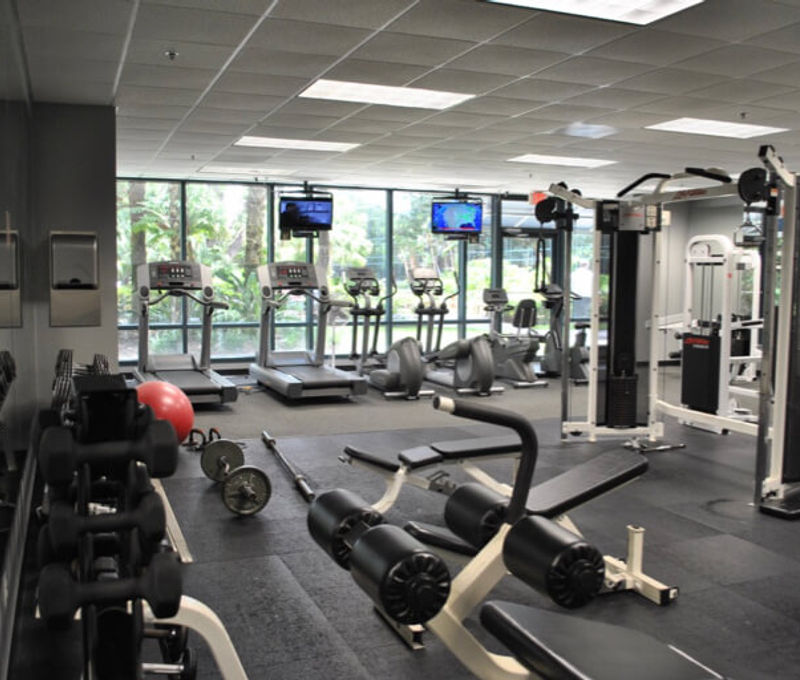 10150 Highland Manor Drive, Tampa - Image 6