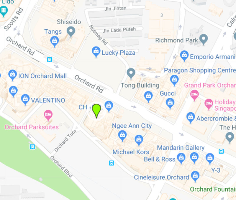391B Orchard Road 391B Orchard Road, Singapore - Image 10