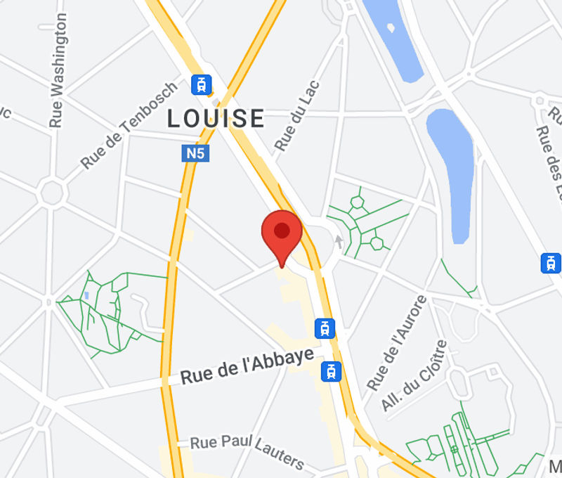 367 Avenue Louise, Bruxelles - Image 12