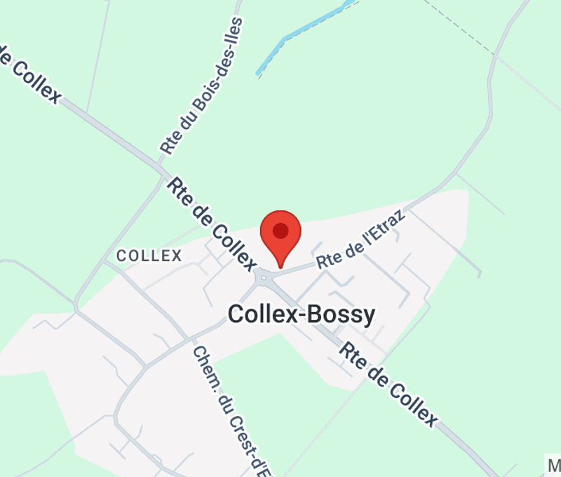 3 Route De L'etraz, Collex-bossy - Image 5