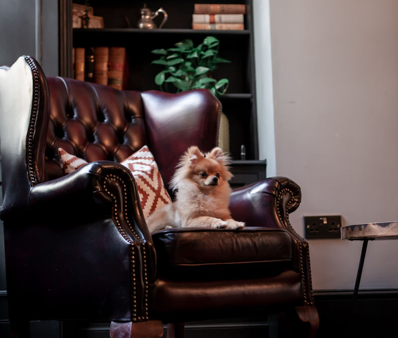1 Bedford Row, Greater London - Image 3