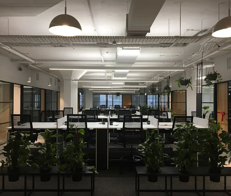 223 Liverpool Street 223 Liverpool Street, Darlinghurst - Image 2