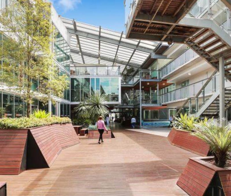 117 Old Pittwater Road, Brookvale - Image 5