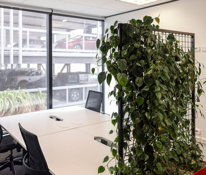 4 Ash Street, Christchurch - Image 4