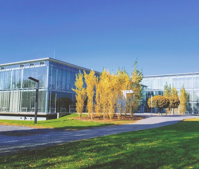 Millennium Pk 6, Lustenau - Image 6
