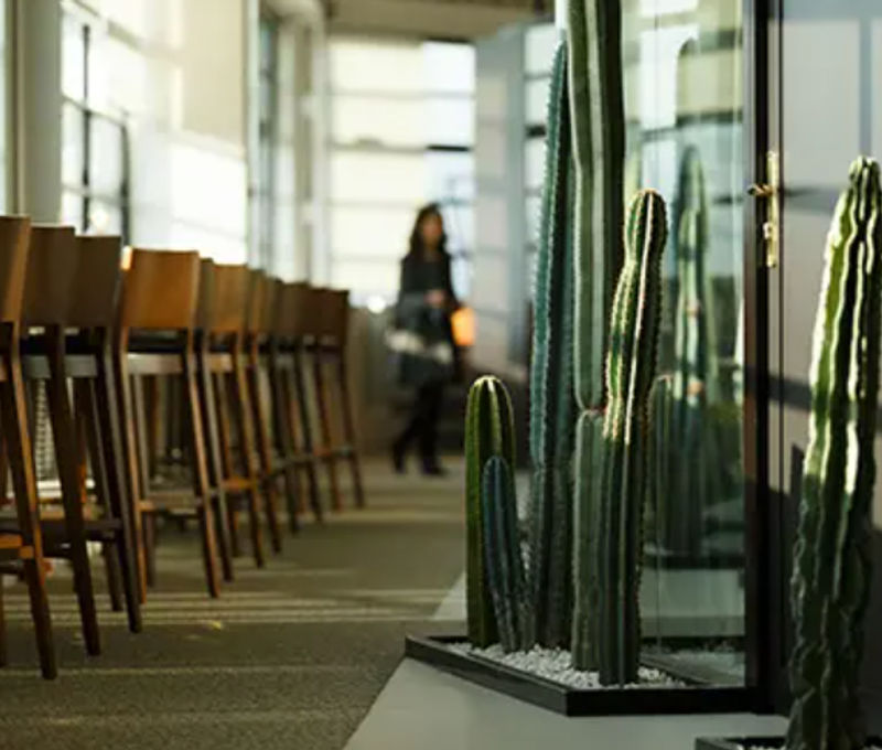 35 Rue De Marseille, Lyon - Image 7