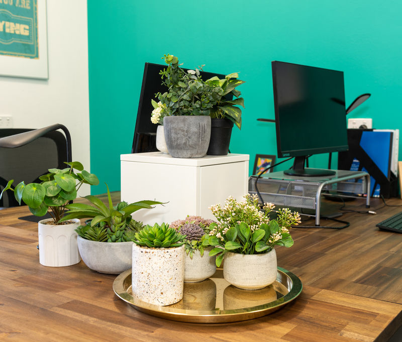 210 Macquarie Road 210 Macquarie Road, Springwood - Image 3