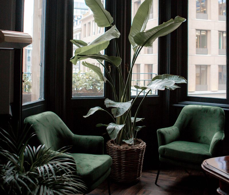 15 Hanover Square Mayfair, Greater London - Image 4